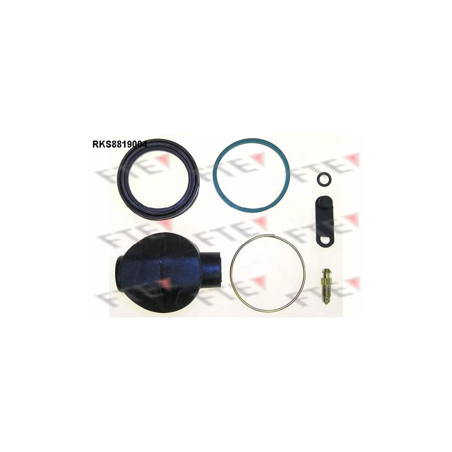 FTE Rks8819004 Repair Kit, Brake Caliper for Citroã N Bx