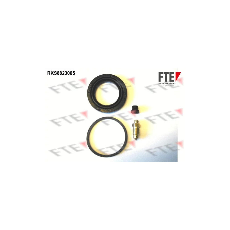 FTE Rks8823005 Repair Kit, Brake Caliper