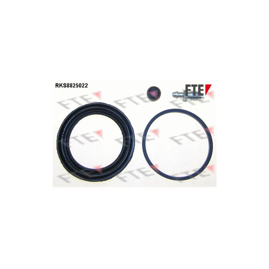 FTE Rks8825022 Repair Kit, Brake Caliper