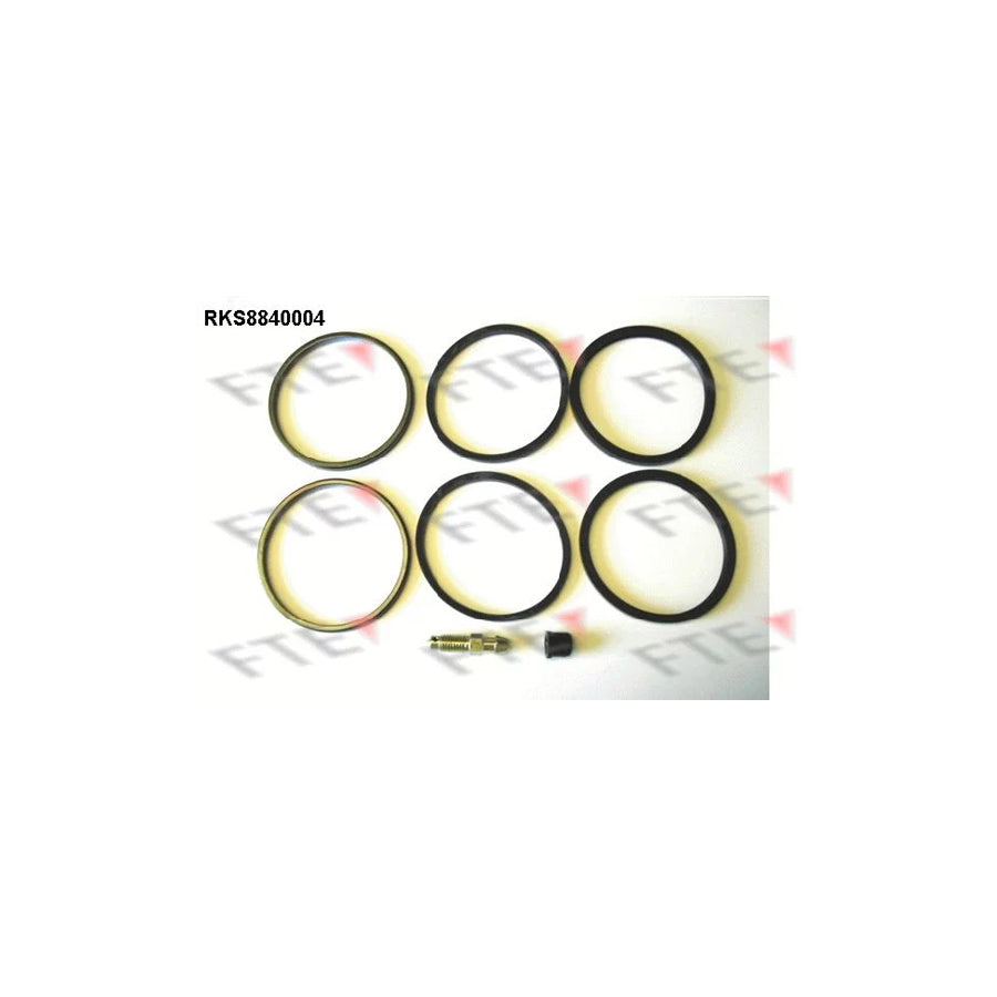 FTE Rks8840004 Repair Kit, Brake Caliper