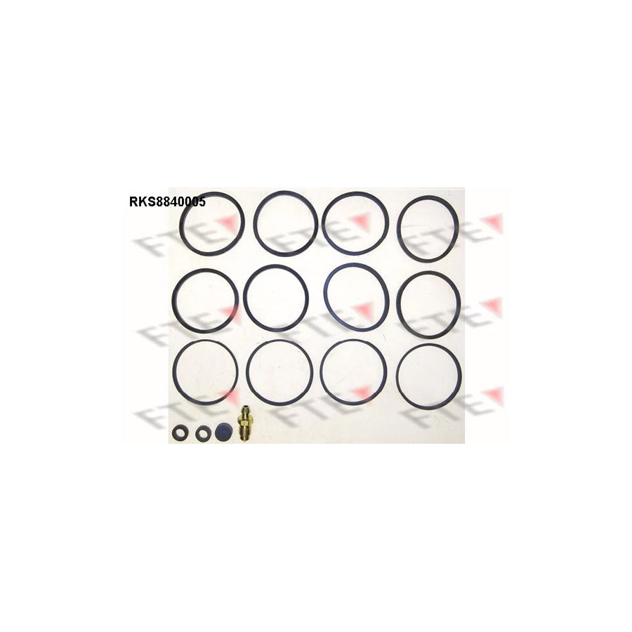 FTE Rks8840005 Repair Kit, Brake Caliper for Land Rover Defender