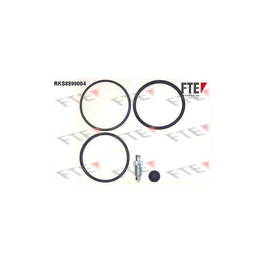 FTE Rks8899004 Repair Kit, Brake Caliper