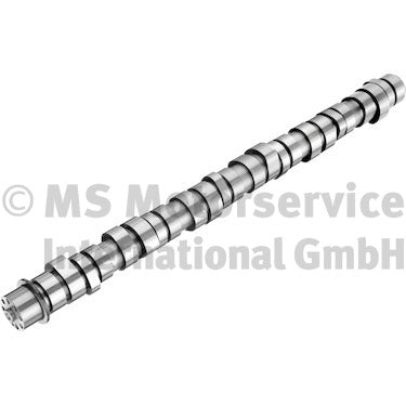 BF 20100413009 Camshaft