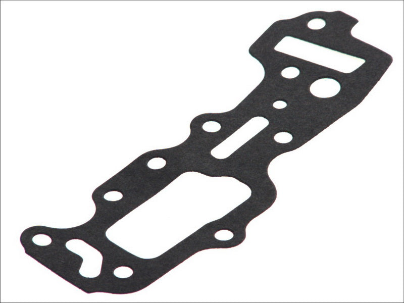 HANS PRIES HP201229 Timing Case Gasket