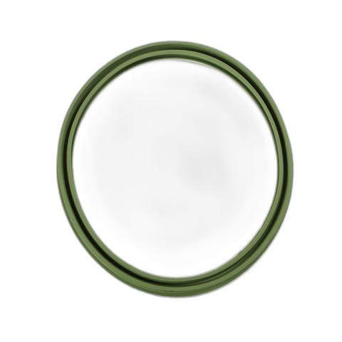 downloaded_images\genuine-ford-1495287-fuel-tank-pump-gasket-1-1FtxJHc0BBXr3ELrigeOEGqVm0hnanLgj.jpg