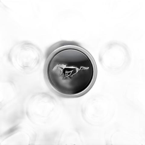 downloaded_images\genuine-ford-2449776-mustang-center-cap-with-mustang-logo-1-1Ug3OdWA4UjH9ZJNxKoX-zSa1u_56JmOK.jpg