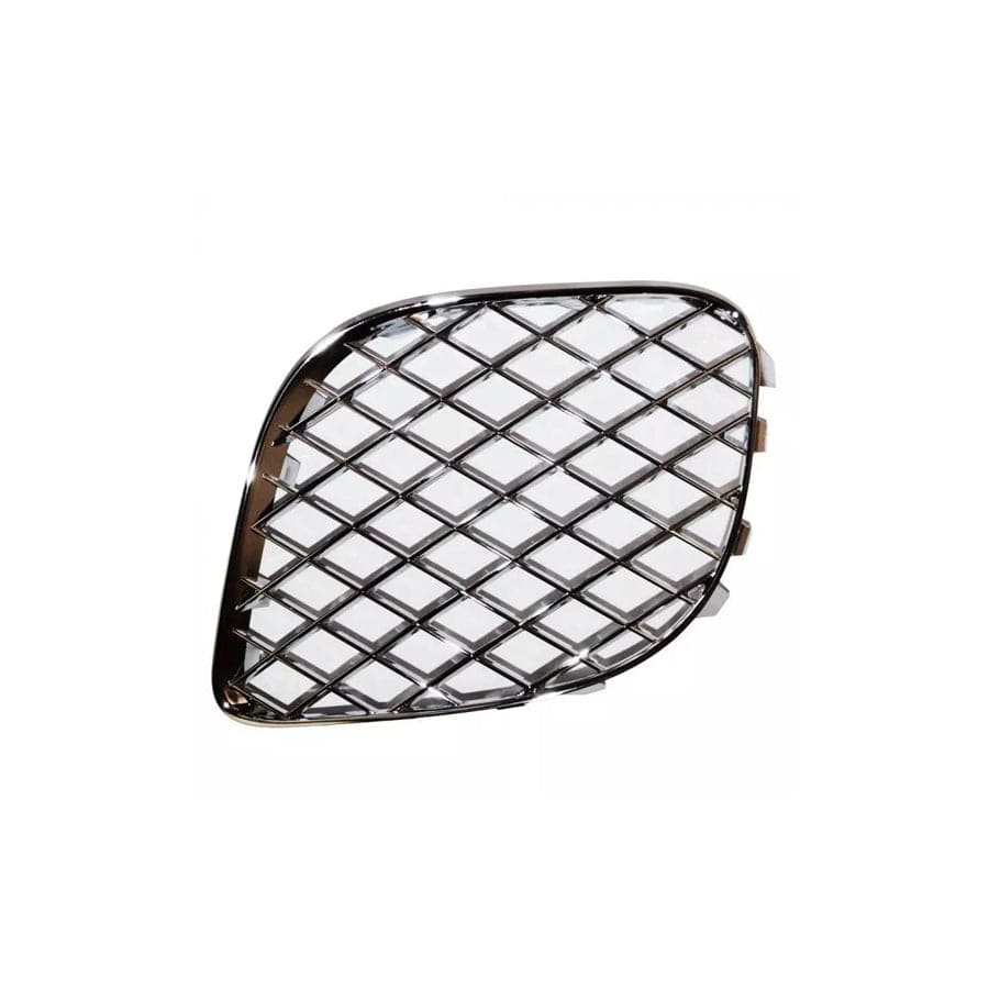 GENUINE Rolls-Royce & Bentley 3W5807683F GRILLE