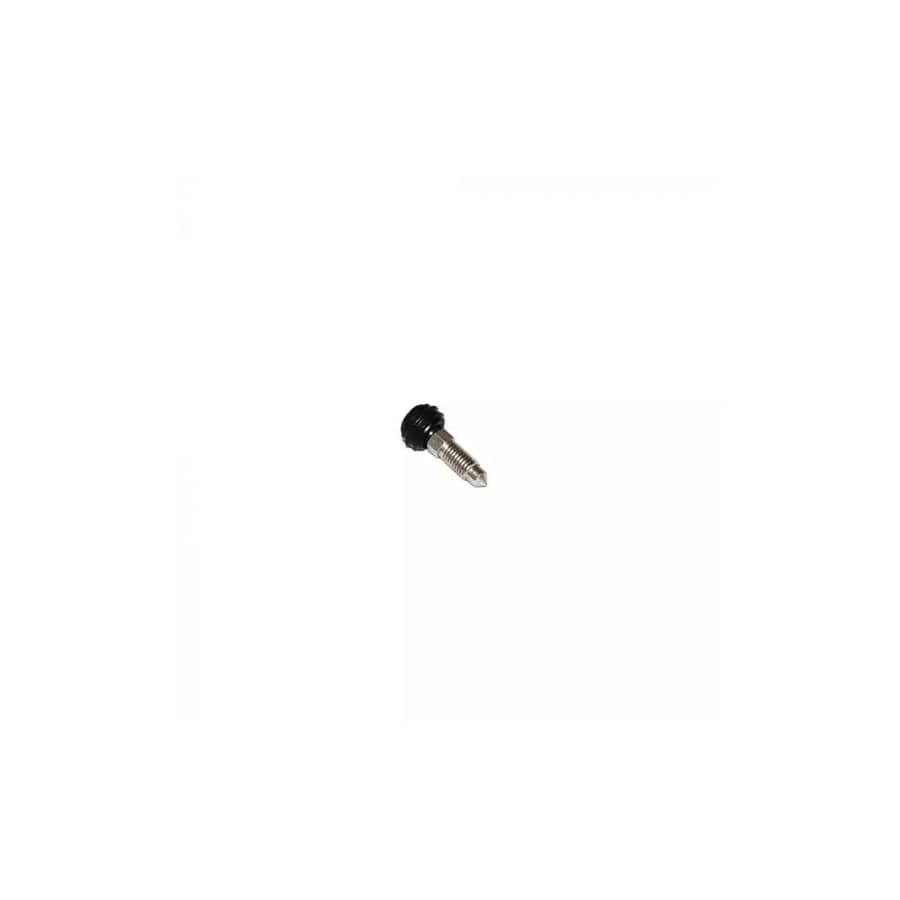 GENUINE Rolls-Royce & Bentley PC29635PA BLEED SCREW AND DUSTCAP