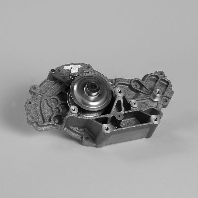 HEPU P598 Water Pump