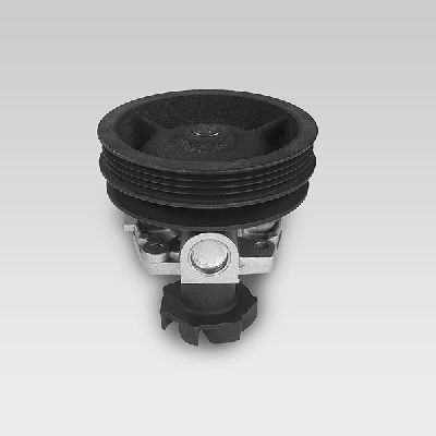 HEPU P1047 Water Pump