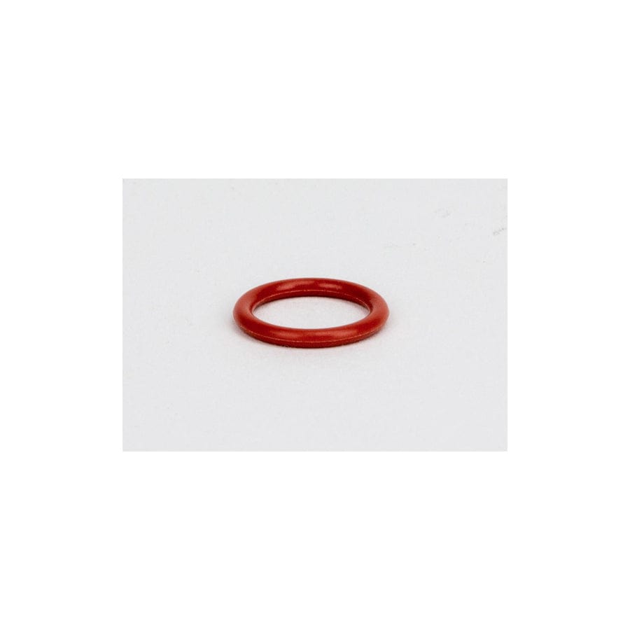 Go Fast Bits BS024 Viton O-Ring