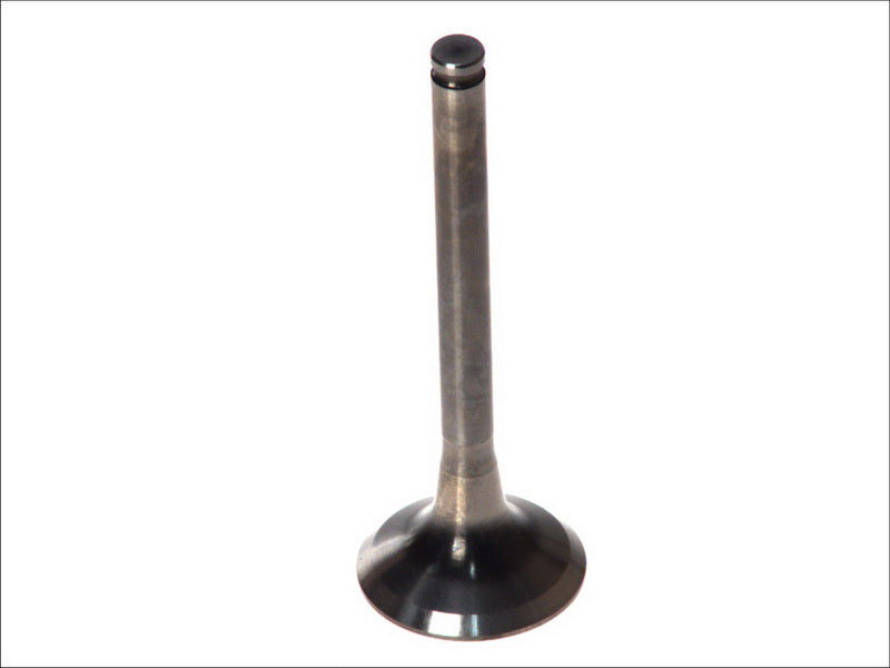 PARADOWSCY PMER027 Exhaust Valve