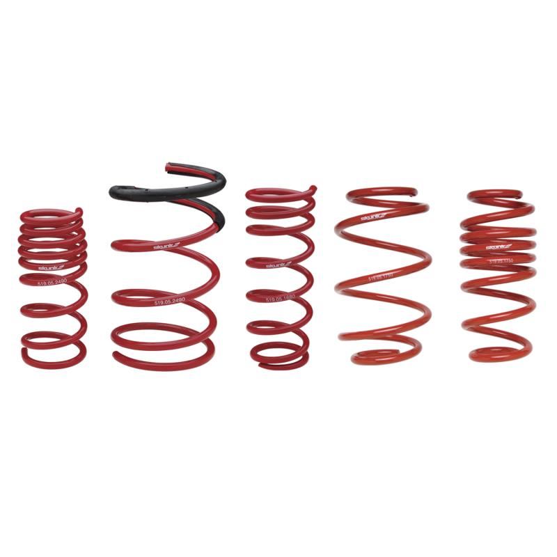 Skunk2 Racing Skunk2 Universal Race Spring (Straight) - 6 in.L - 2.5 in.ID - 10kg/mm (0600.250.010S)