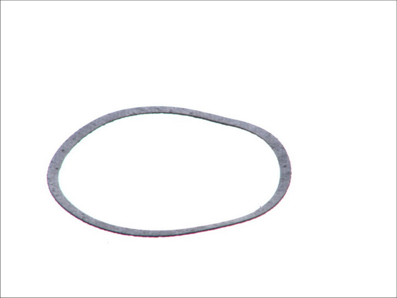 LEMA LE24100.75 Water Pump Gasket