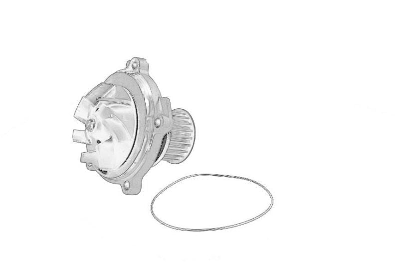 VM MOTORI VM20132427 Water Pump