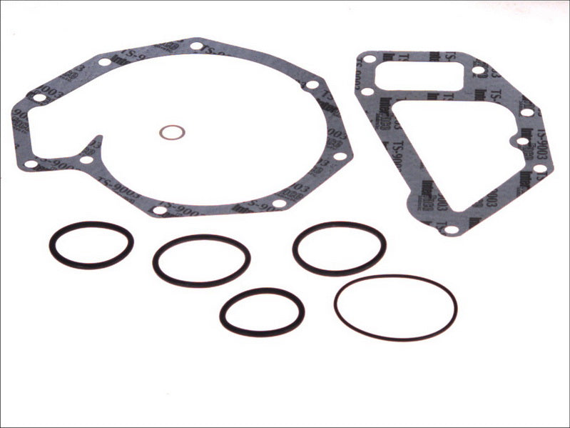 LEMA LE53150.00 Water Pump Gasket