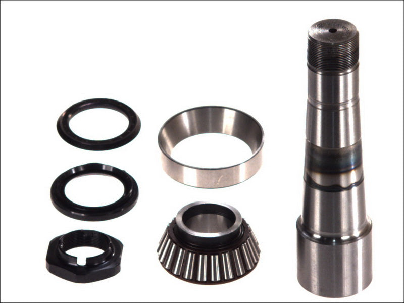 C.E.I 230077 Kingpin Repair Kit