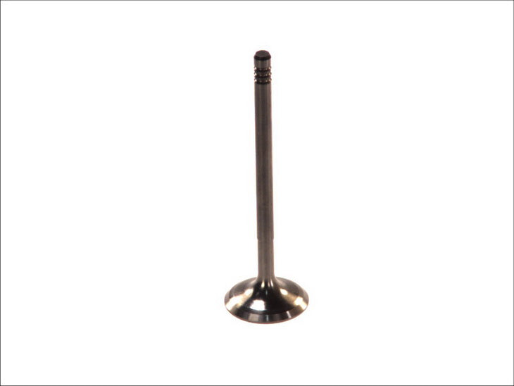 PARADOWSCY PFIA017 Intake Valve