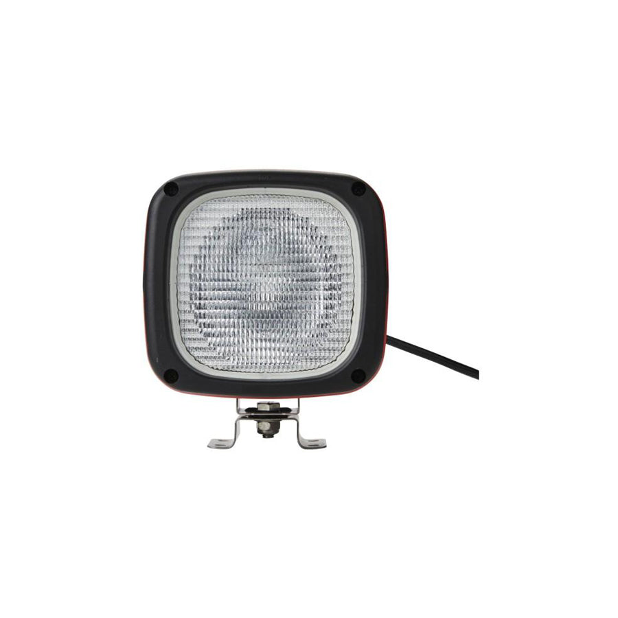 Hella 1GA 996 142-141 Worklight
