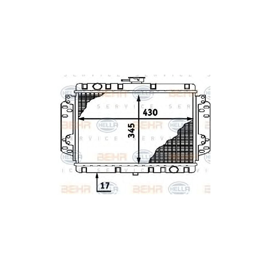 Hella 8MK 376 716-021 Engine Radiator
