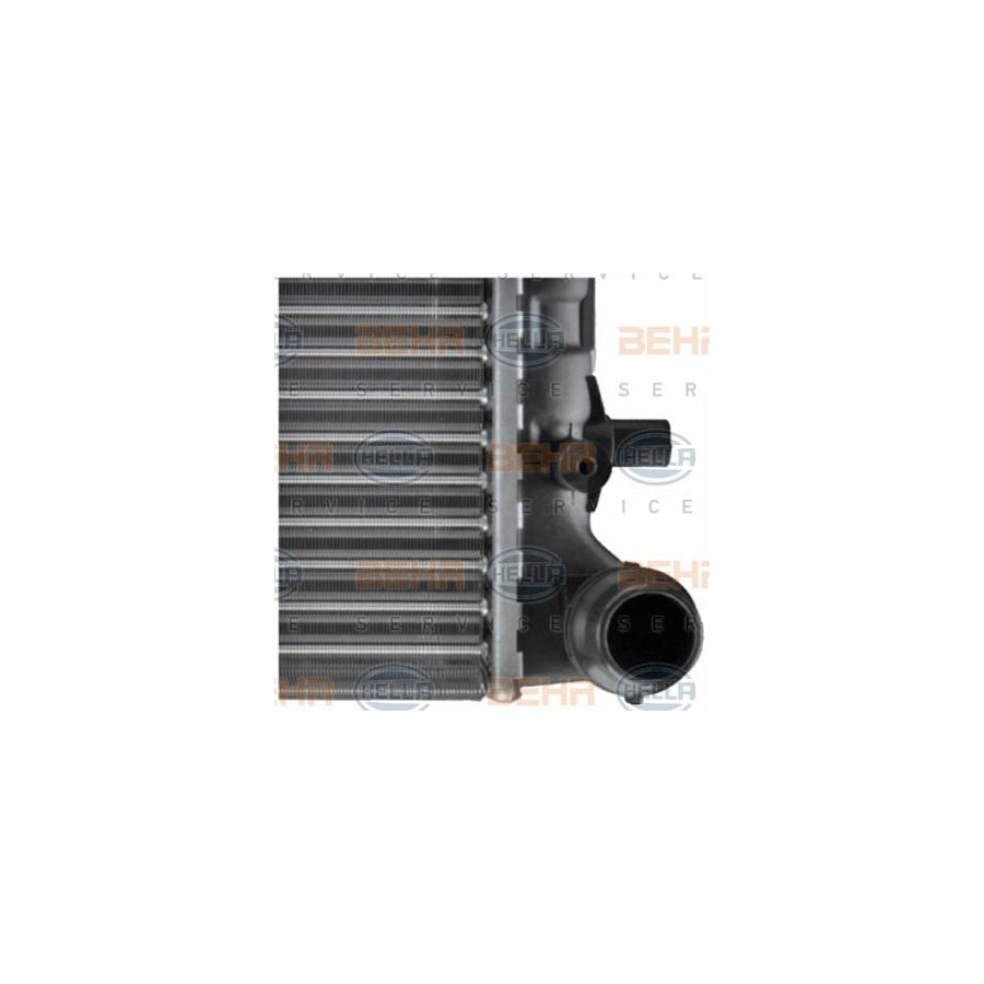 Hella 8MK 376 716-611 Engine Radiator