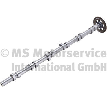 BF 20100347106 Camshaft