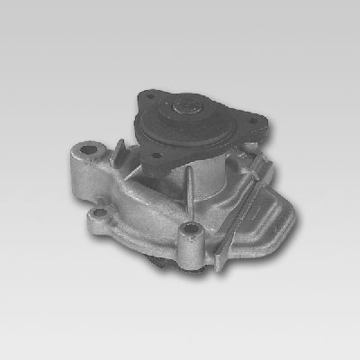 HEPU P756 Water Pump