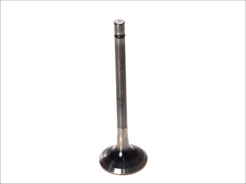 PARADOWSCY PMER024 Exhaust Valve