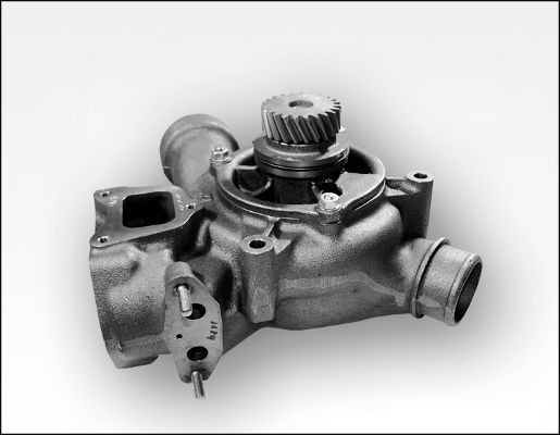 HEPU P1184 Water Pump