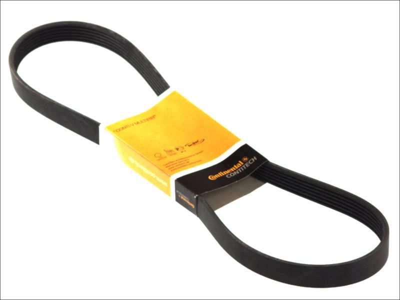 CONTITECH 6PK1019ELAST V-Ribbed Belt