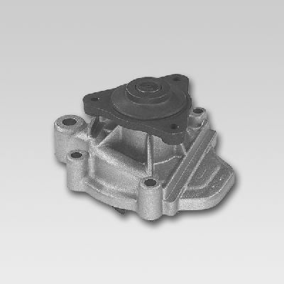 HEPU P757 Water Pump