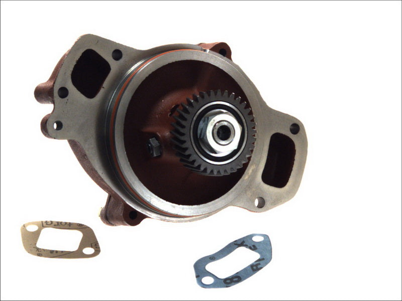OMP 295070 Water Pump
