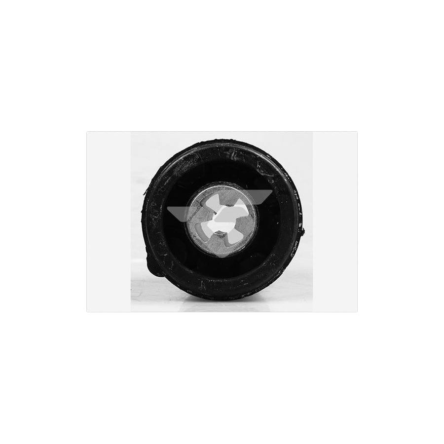 Hutchinson 590182 Axle Bush