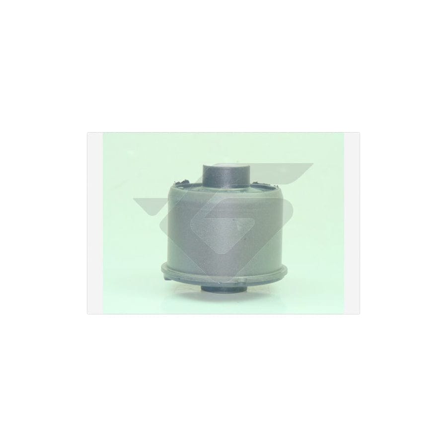 Hutchinson 590376 Axle Bush For Ford Fiesta