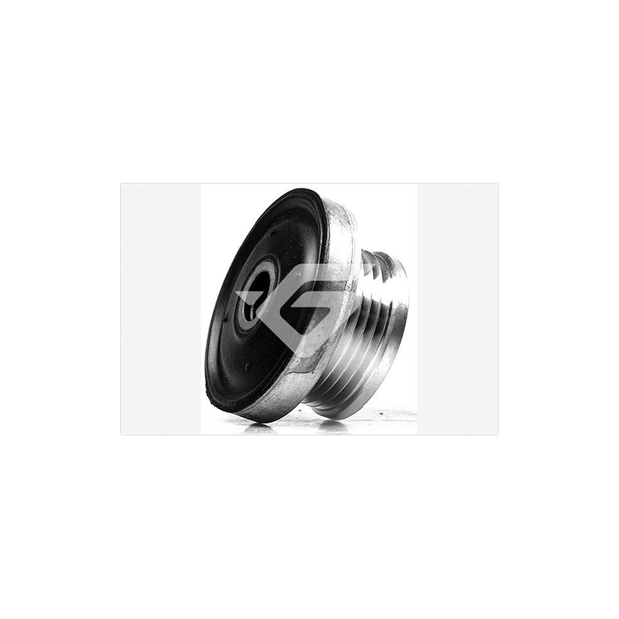 Hutchinson D7513 Alternator Freewheel Clutch