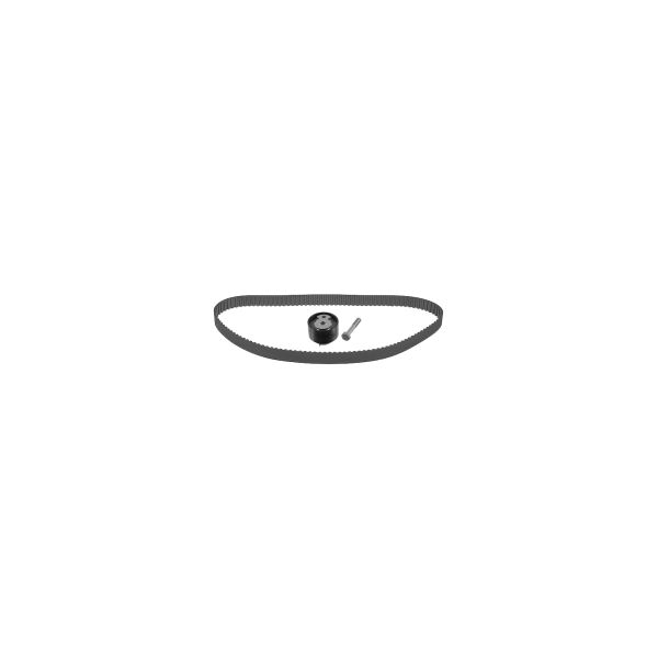 FEBI FE21901 Timing Belt Set