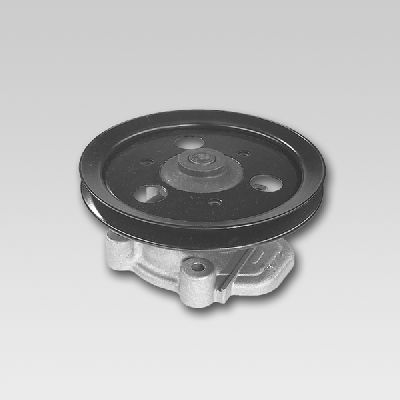 HEPU P787 Water Pump