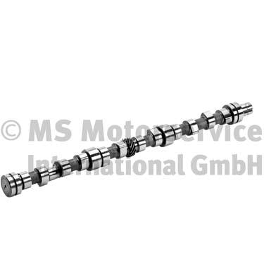 BF 20100336601 Camshaft