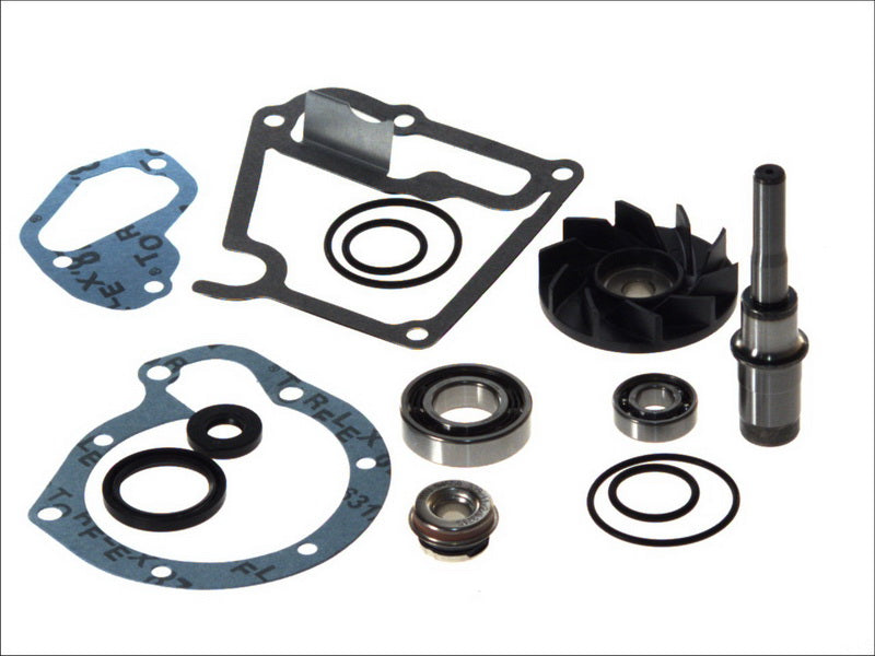OMP OMP242.250 Water Pump