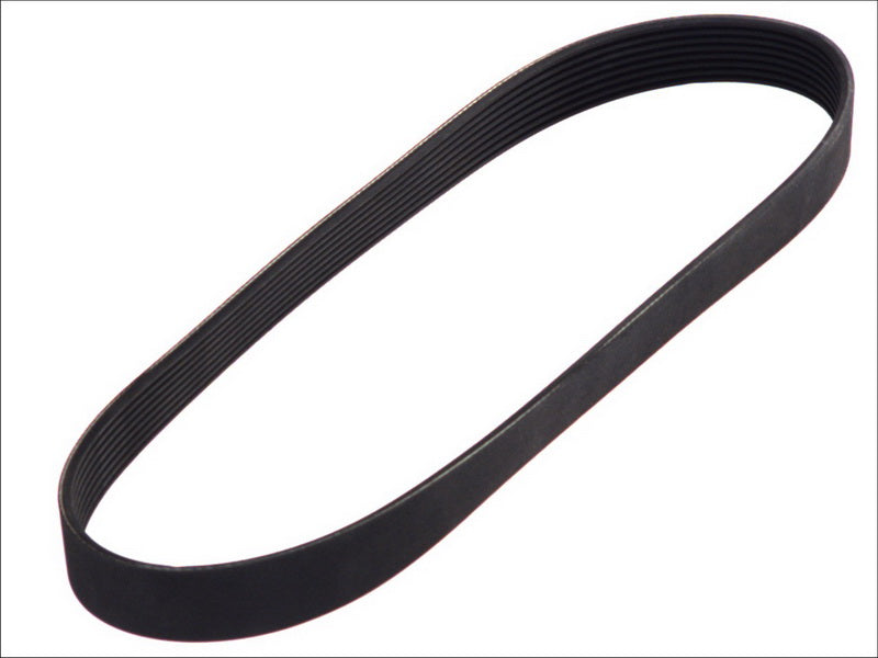 OPTIBELT 8PK975 V-Ribbed Belt