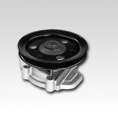HEPU P7805 Water Pump