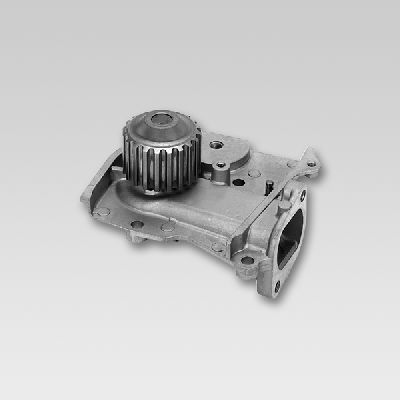 HEPU P719 Water Pump