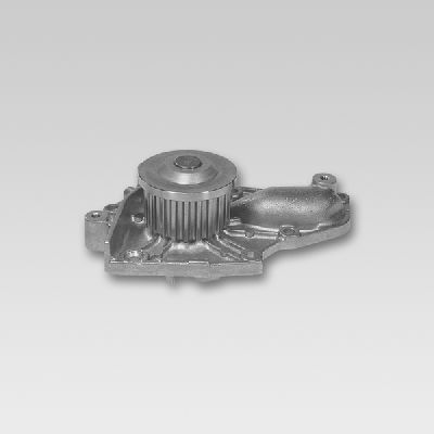HEPU P764 Water Pump