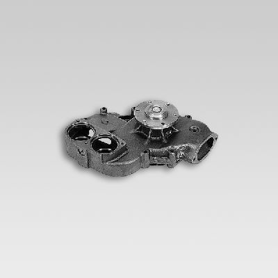 HEPU P1422 Water Pump