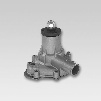 HEPU P1074 Water Pump