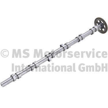 BF 20100347105 Camshaft