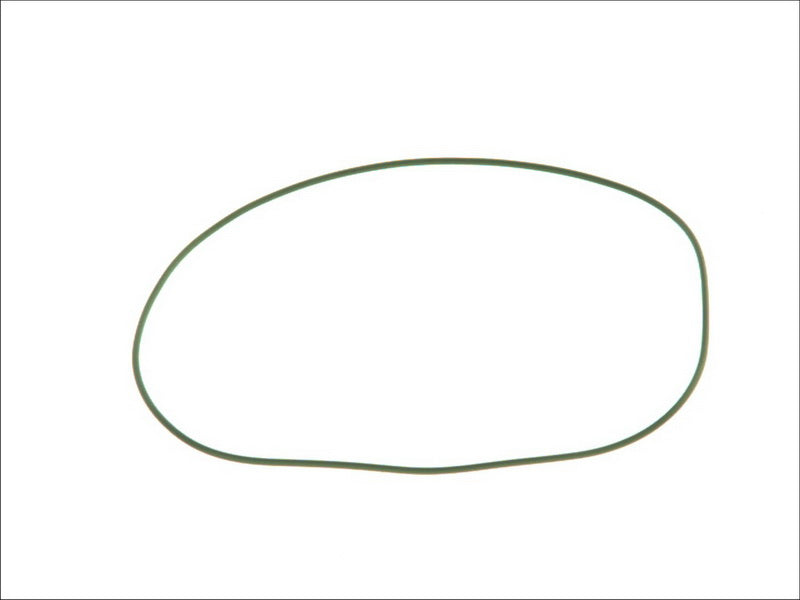 LEMA E121960 Injector Holder Seal