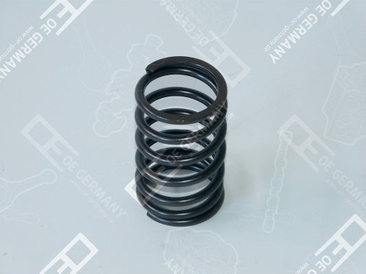 OE GERMANY 010523400002 Valve Spring