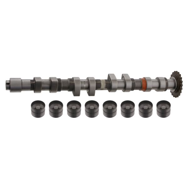 FEBI BILSTEIN FE33199 Camshaft Kit