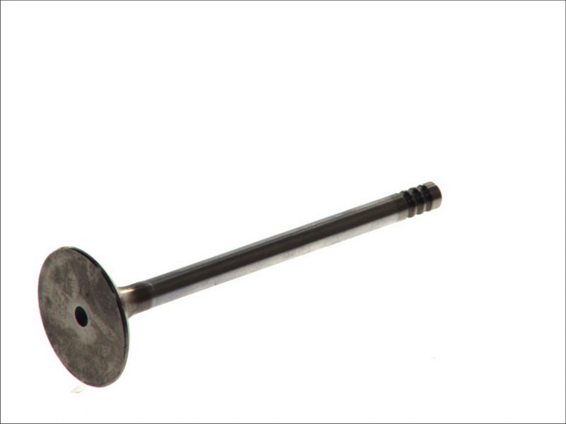 FRECCIA 4456/SCR Intake Valve